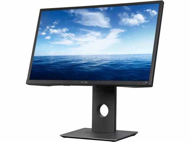 مانیتور دل Dell P2317H
